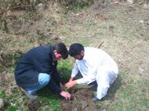 Waqar & Mir planting