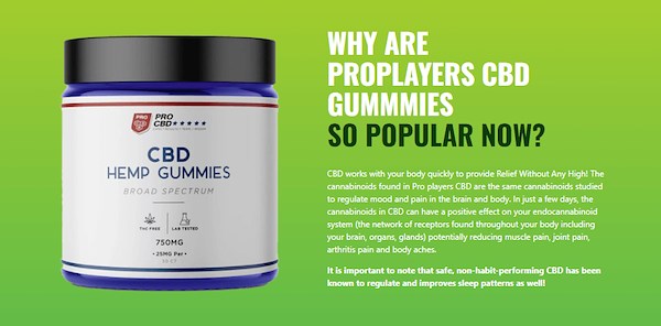 Listen To Your Customers. They Will Tell You All About PRO CBD HEMP GUMMIES