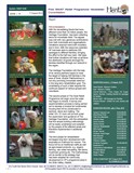 Swat Relief Programme Update 1